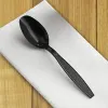 Picture of Black Heavy Weight Polystyrene Plastic Spoon – 1000/Case