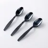 Picture of Black Heavy Weight Polystyrene Plastic Spoon – 1000/Case