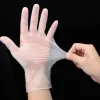 Picture of 3>>Vinyl Gloves for Foodservice-Case of 1000 (10 Boxes of 100)